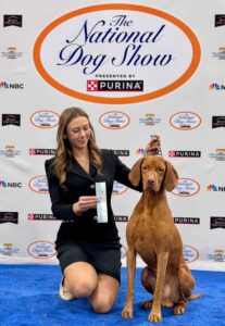 Charlie Select Dog at National Dog Show